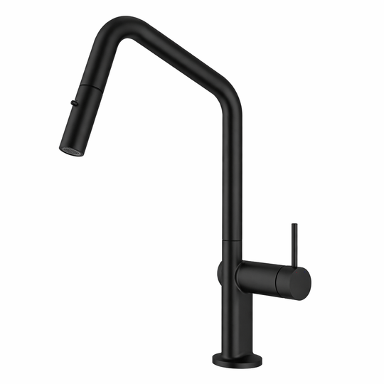Carysil Angle Pull Out Round Kitchen Mixer in Multi Colour [42-C-2AKM / 42-2176]