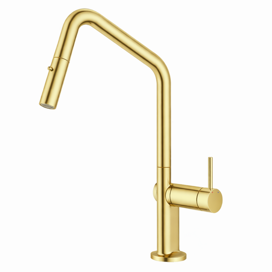 Carysil Angle Pull Out Round Kitchen Mixer in Multi Colour [42-C-2AKM / 42-2176]