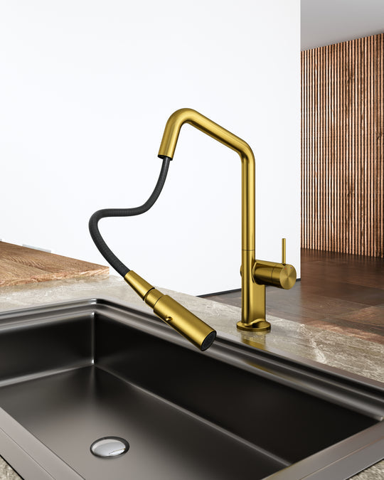 Carysil Angle Pull Out Round Kitchen Mixer in Multi Colour [42-C-2AKM / 42-2176]