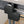 3 Panel Semi Frameless Pivot Door Shower Screen - FRONT PANEL [24-ATSL]